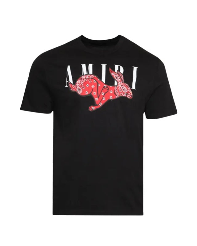 Amiri T-Shirts